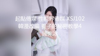 起點傳媒 性視界傳媒 XSJ102 韓漫改編 養子的秘密教學4 鍾宛冰