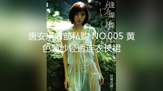 唐安琪内部私购 NO.005 黄色薄纱轻透连衣长裙