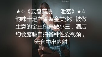 我的精华，你的丝袜3