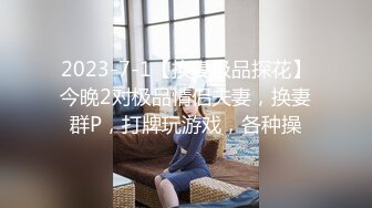  漂亮人妻 我想射了 那你射我逼里吧 逼已经湿了 看我家里乱来给我打扫卫生