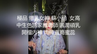 东北坚挺大奶熟女人妻偷情，技术好有对白