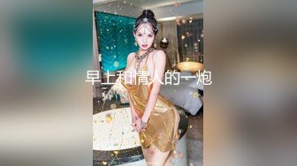 杏吧小海哥探花