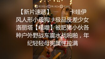 【小马寻花】175大长腿，肤白貌美，长发飘飘清纯女神，超清4K设备偷拍，美乳，嫩穴一览无余超劲爆