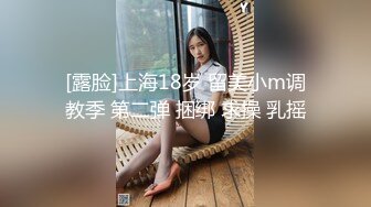 麻豆傳媒MDX-0238-04厲害女上司竟是個騷貨-文冰冰