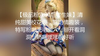 高能预警！比女人还女人极品网红CDTS【sehe】私拍，能攻能守3P4P真男假女混乱性交人体蜈蚣，相当淫乱视觉盛宴 (10)