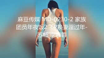 麻豆传媒 MD-0230-2 家族团员年夜饭2  6P换妻淫过年-苏畅 李蓉蓉