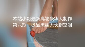 本站小哥最新高端豪华大制作第六期：极品黑丝大长腿空姐