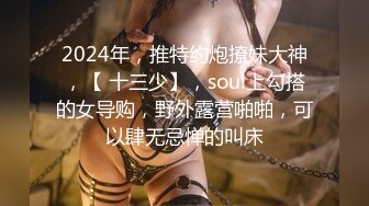 2024年，推特约炮撩妹大神，【 十三少】，soul上勾搭的女导购，野外露营啪啪，可以肆无忌惮的叫床