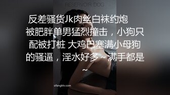 [2DF2] 苗条兼职良家小少妇，温柔健谈好似偷情，高清源码录制[BT种子]