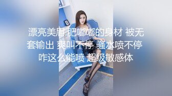 全网最大蝴蝶B