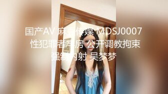 STP28442 起点传媒 性视界传媒 XSJ049 月光族拖欠房租 只好肉偿抵债 VIP0600