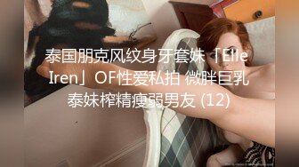 泰国朋克风纹身牙套妹「Elle Iren」OF性爱私拍 微胖巨乳泰妹榨精瘦弱男友 (12)