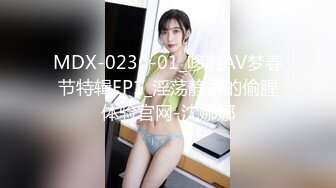 MDX-0236-01_哆啦AV梦春节特辑EP1_淫荡静香的偷腥体验官网-沈娜娜