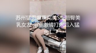 麻豆傳媒 MCY0165 強上我的美豔房東 舒可芯