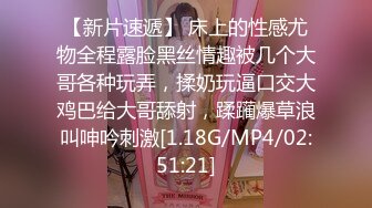 女神反差婊甘愿成为大神小母狗！推特大屌调教性爱行家【艾伦】，大奶蜂腰翘臀美女被大鸡巴征服各种啪啪 (7)