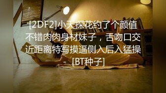 [2DF2]小天探花约了个颜值不错肉肉身材妹子，舌吻口交近距离特写摸逼侧入后入猛操 -  [BT种子]