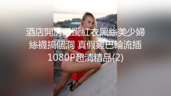 酒店開房蹂躪紅衣黑絲美少婦 絲襪搞個洞 真假雞巴輪流插 1080P超清精品(2)