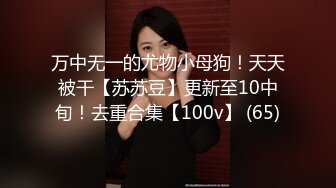 万中无一的尤物小母狗！天天被干【苏苏豆】更新至10中旬！去重合集【100v】 (65)