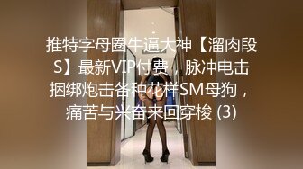 推特字母圈牛逼大神【溜肉段S】最新VIP付费，脉冲电击捆绑炮击各种花样SM母狗，痛苦与兴奋来回穿梭 (3)