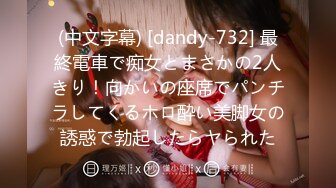 (中文字幕) [dandy-732] 最終電車で痴女とまさかの2人きり！向かいの座席でパンチラしてくるホロ酔い美脚女の誘惑で勃起したらヤられた