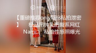 【OnlyFans】极品巨乳肥臀亚裔 NamiGoneWild合集 86