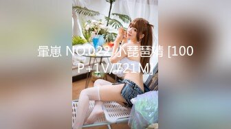 暈崽 NO.022 小琵琶精 [100P+1V/721M]