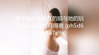 妻子独自毛茸茸的猫与她的玩具Sextoy魔杖获得暨 (ph5d677395a7e9e)