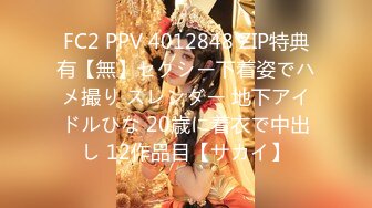 FC2 PPV 4012848 ZIP特典有【無】セクシー下着姿でハメ撮り スレンダー 地下アイドルひな 20歳に着衣で中出し 12作品目【サカイ】