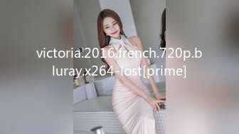 victoria.2016.french.720p.bluray.x264-lost[prime]