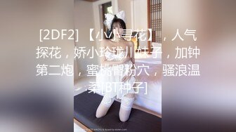 [2DF2] 【小小寻花】，人气探花，娇小玲珑川妹子，加钟第二炮，蜜桃臀粉穴，骚浪温柔[BT种子]