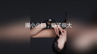 麻豆傳媒 MDX-0244 荒淫女仆的性爱侍奉 温芮欣