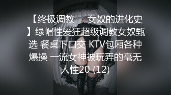  极品萝莉户外性体验调教玩操制服萝莉小母狗 电影院做爱 摩天轮爆 网吧JK跪舔 车震爆