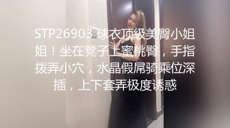 SSNI-485 您好 單身赴任的我被隔壁搬來的巨乳文青妹睡走了 葵【中文字幕】