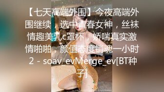 国产麻豆AV MD MD0155 突袭男优宿舍 下集 艾秋