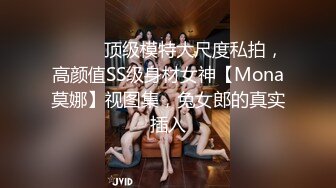 ⚫️⚫️顶级模特大尺度私拍，高颜值SS级身材女神【Mona莫娜】视图集，兔女郎的真实插入