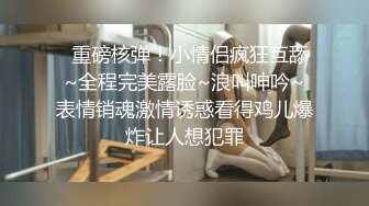 半岛束艺240818-白鲸-奎因-我的形体老师