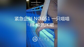 紧急企划 NO.051 一只喵喵梓 棕色JK裙