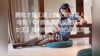 【极品航空空姐女神】专操空姐推特大神『BMW』空姐制服黑丝美腿玩操穿制服的空姐 海航空姐篇 (5)