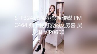 STP32418 蜜桃影像传媒 PMC464 强上我可爱的女房客 吴文淇 VIP0600