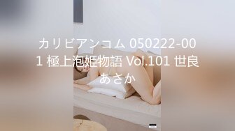 カリビアンコム 050222-001 極上泡姫物語 Vol.101 世良あさか